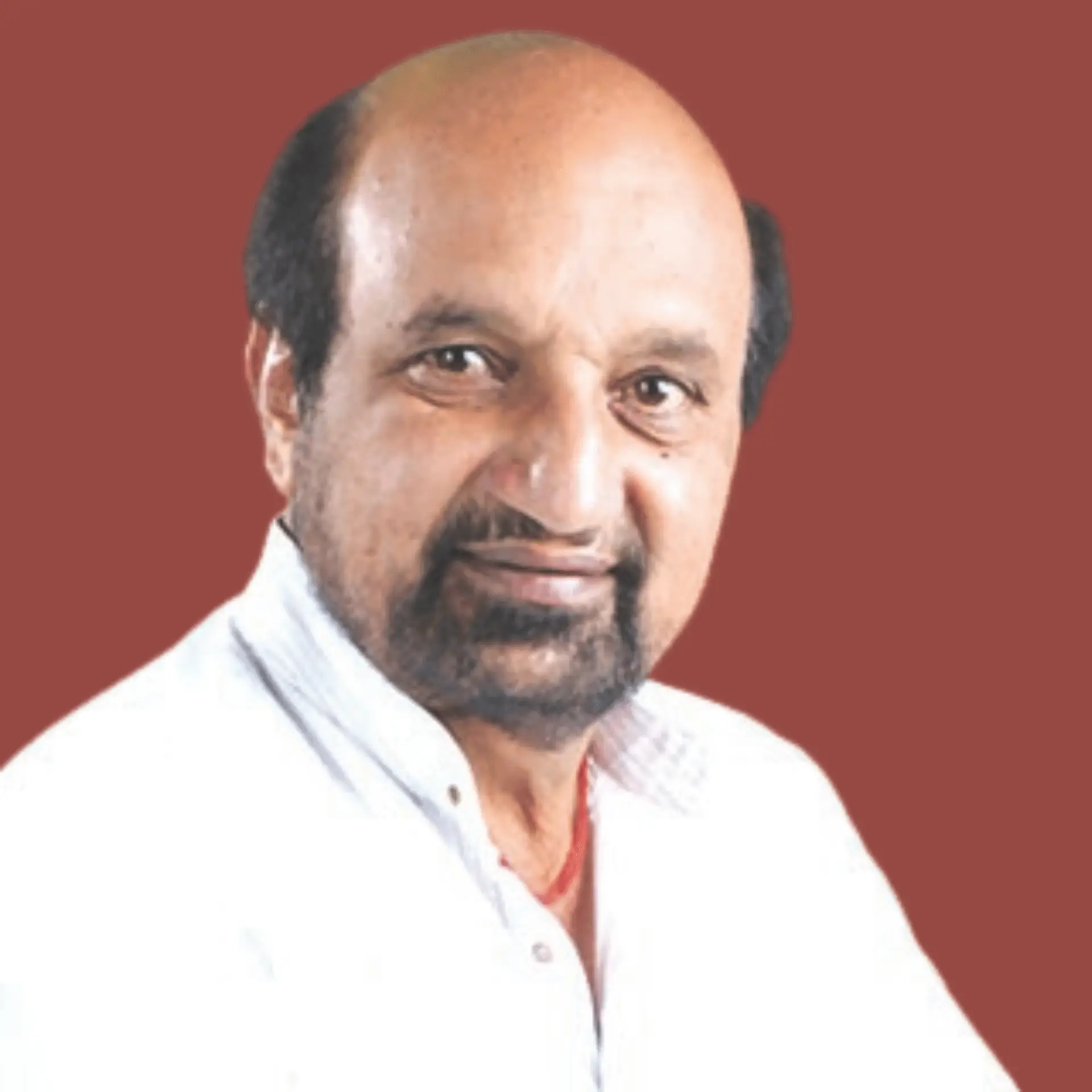 दि. बा. पाटील