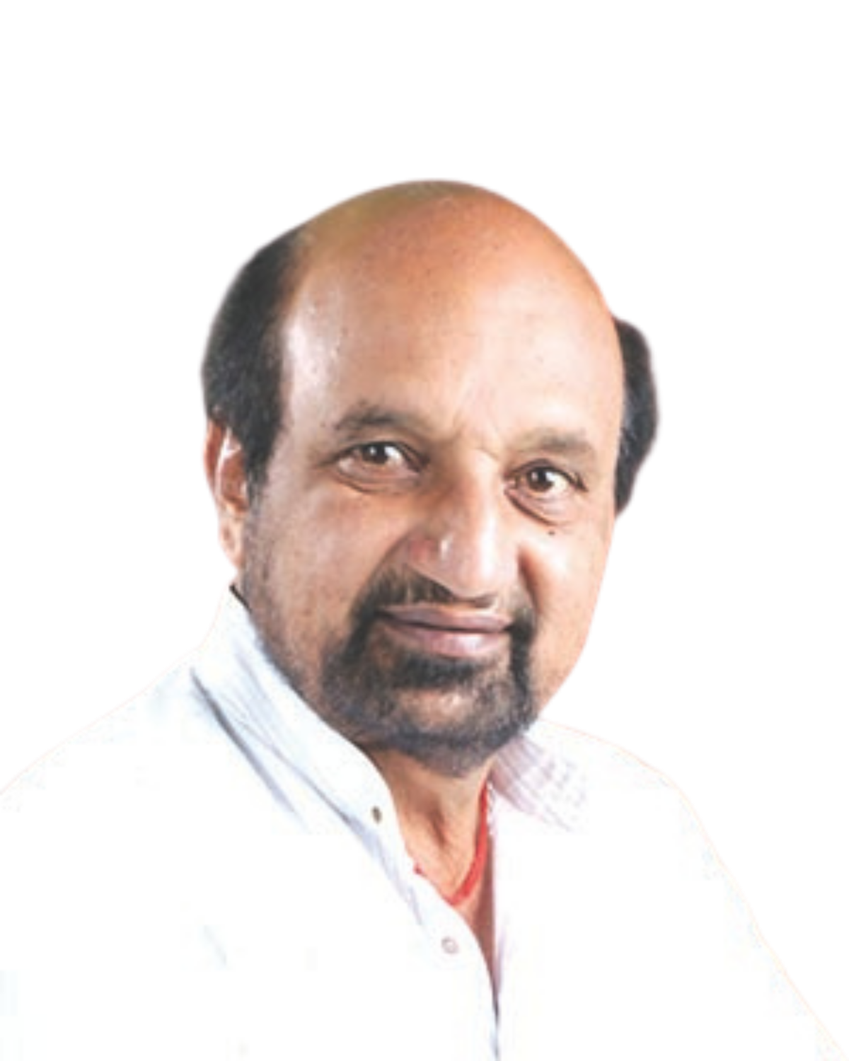 दि. बा. पाटील